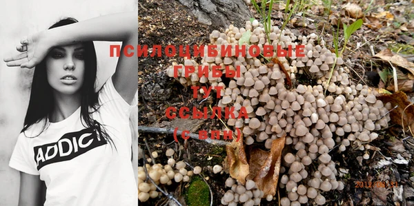 герыч Богородицк